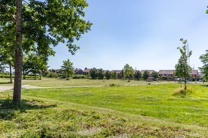 Photo 79 of Frouwesân 137