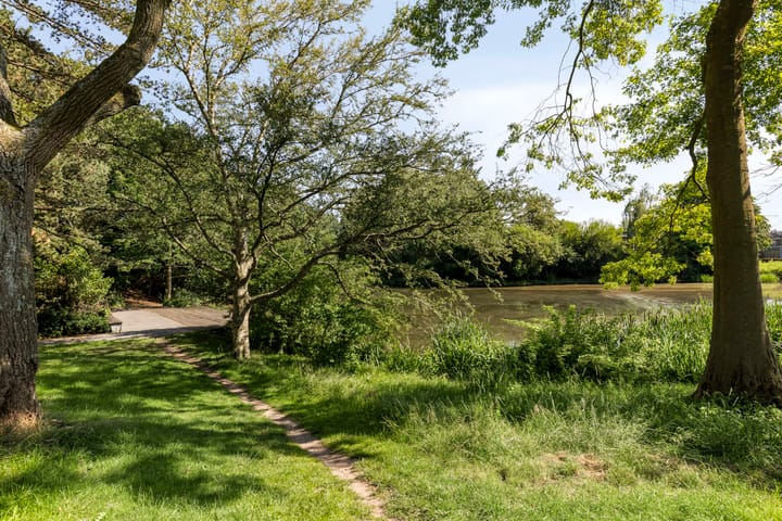 Foto 49 van Vechtstraat 132