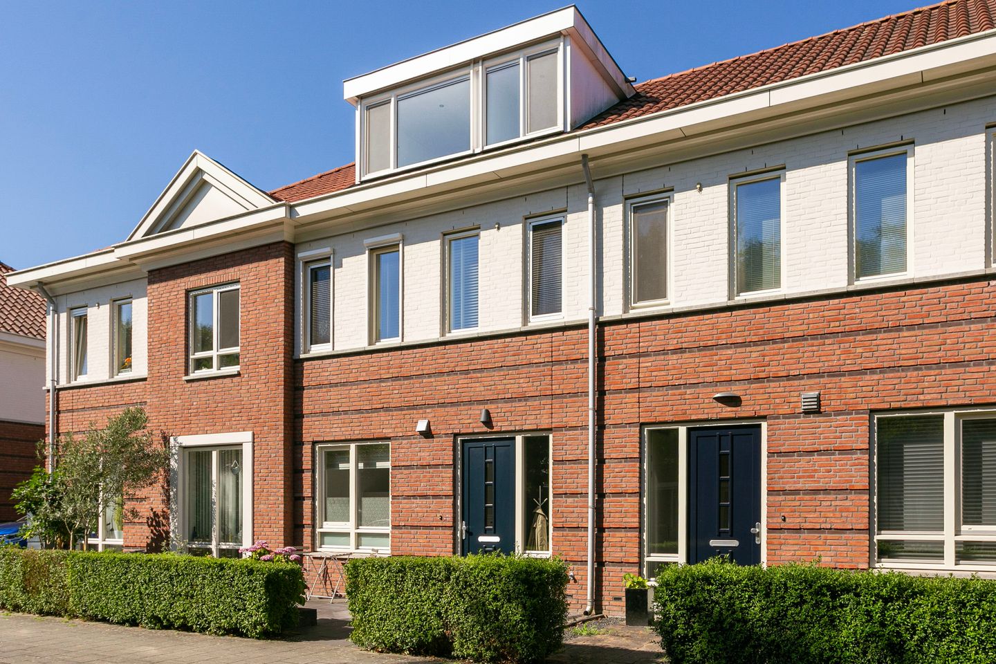 Foto 1 van Vitruvius 6