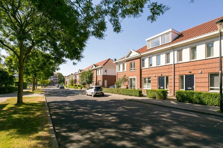 Foto 2 van Vitruvius 6