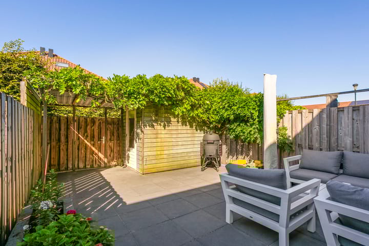 Foto 10 van Vitruvius 6