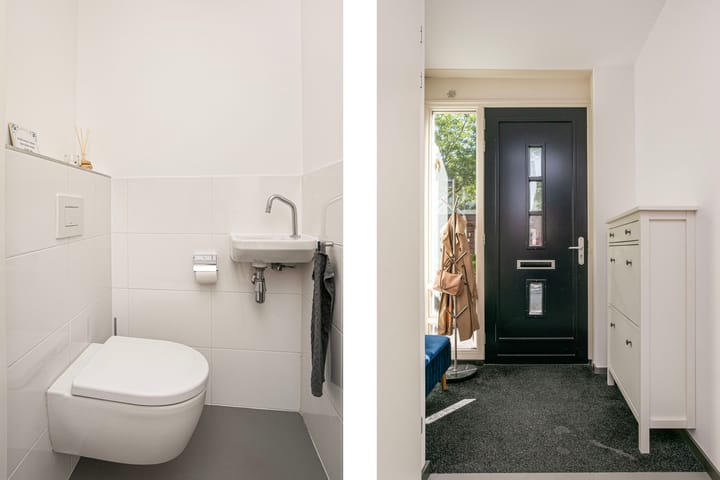 Foto 13 van Vitruvius 6