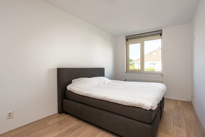 Foto 16 van Vitruvius 6