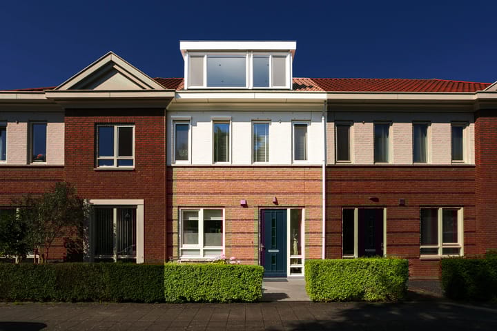 Foto 30 van Vitruvius 6