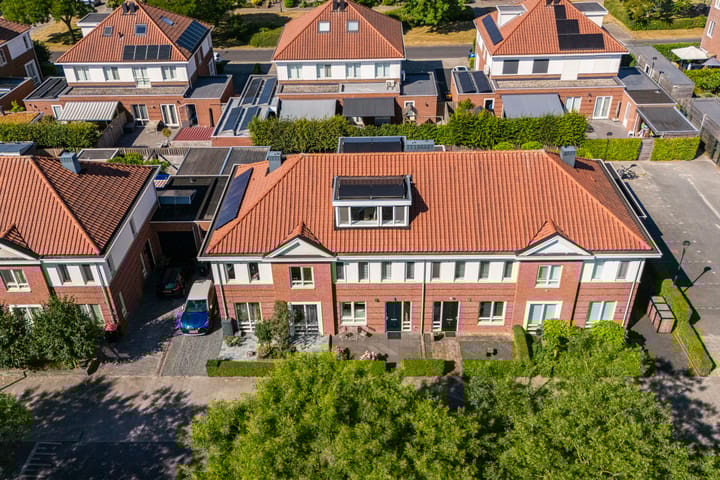 Foto 31 van Vitruvius 6