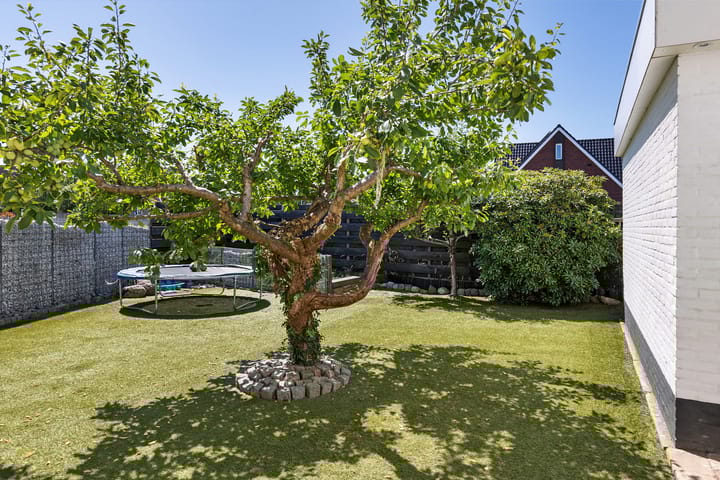 Foto 5 van Kammingastrjitte 55