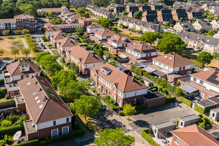 Foto 33 van Vitruvius 6