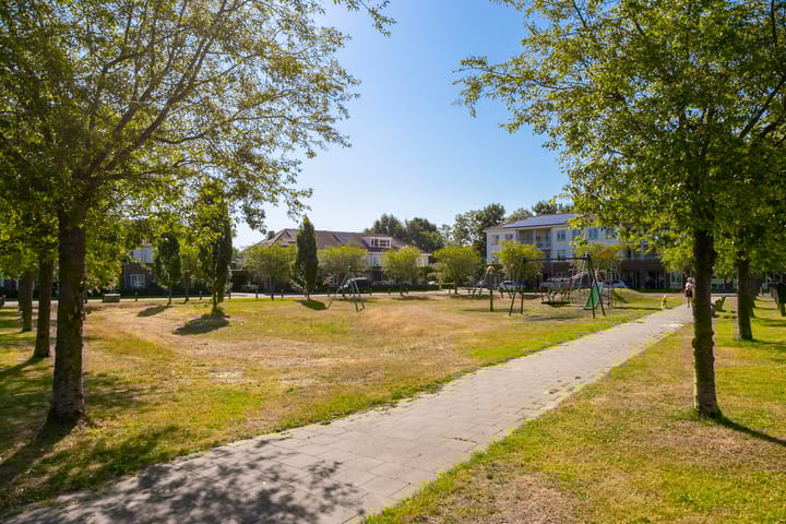 Foto 36 van Vitruvius 6