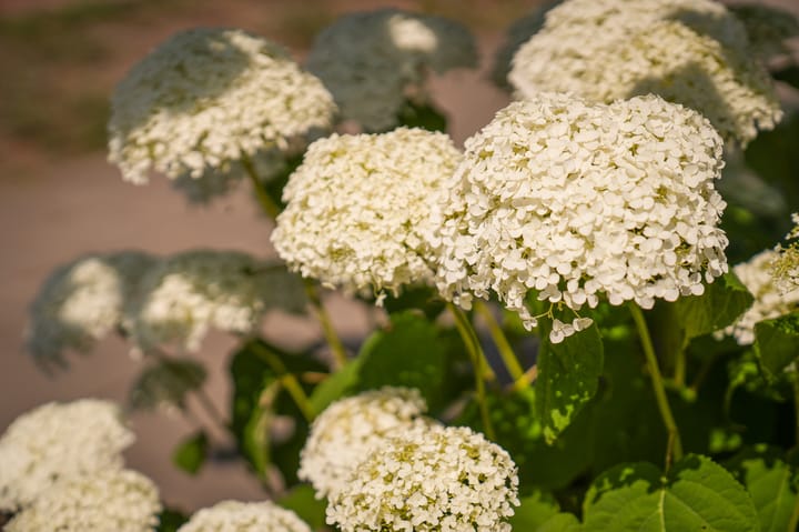 Foto 41 van Klaphekweg 15