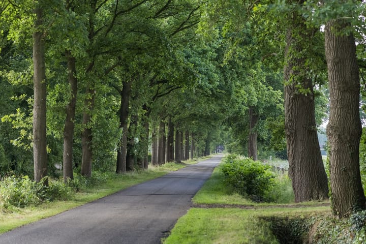 Foto 5 van Steenmatenweg 2