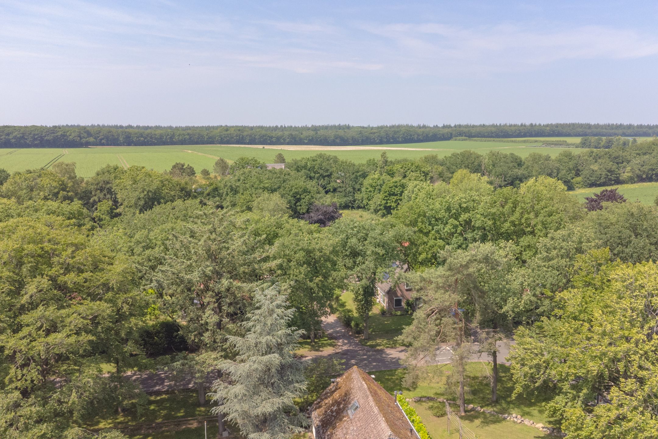 Foto 3 van Buinerweg 11