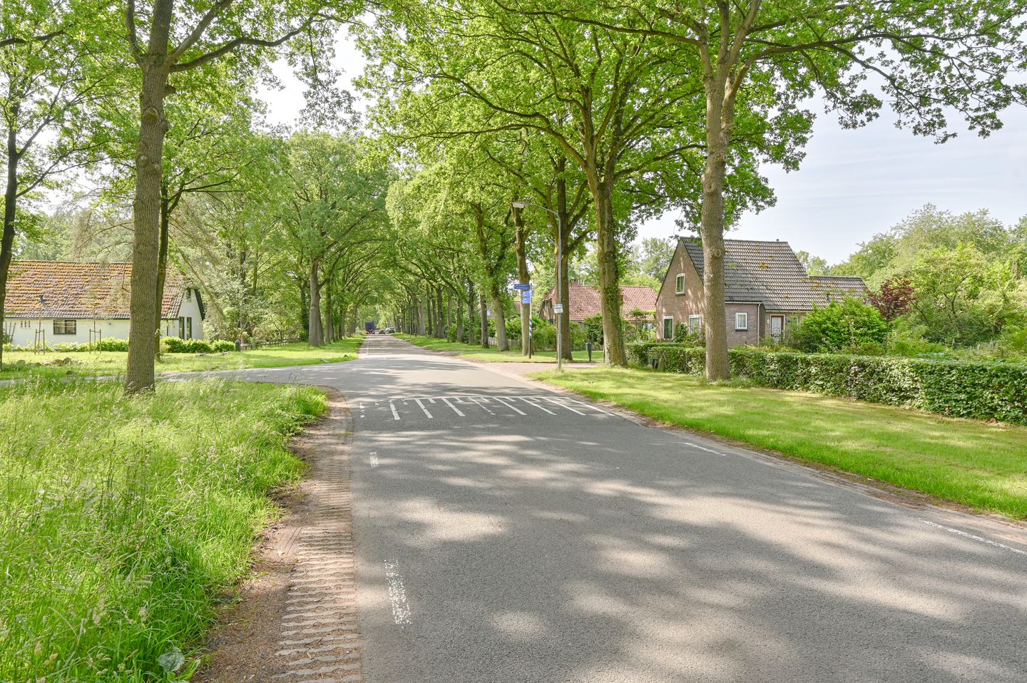 Foto 4 van Buinerweg 11