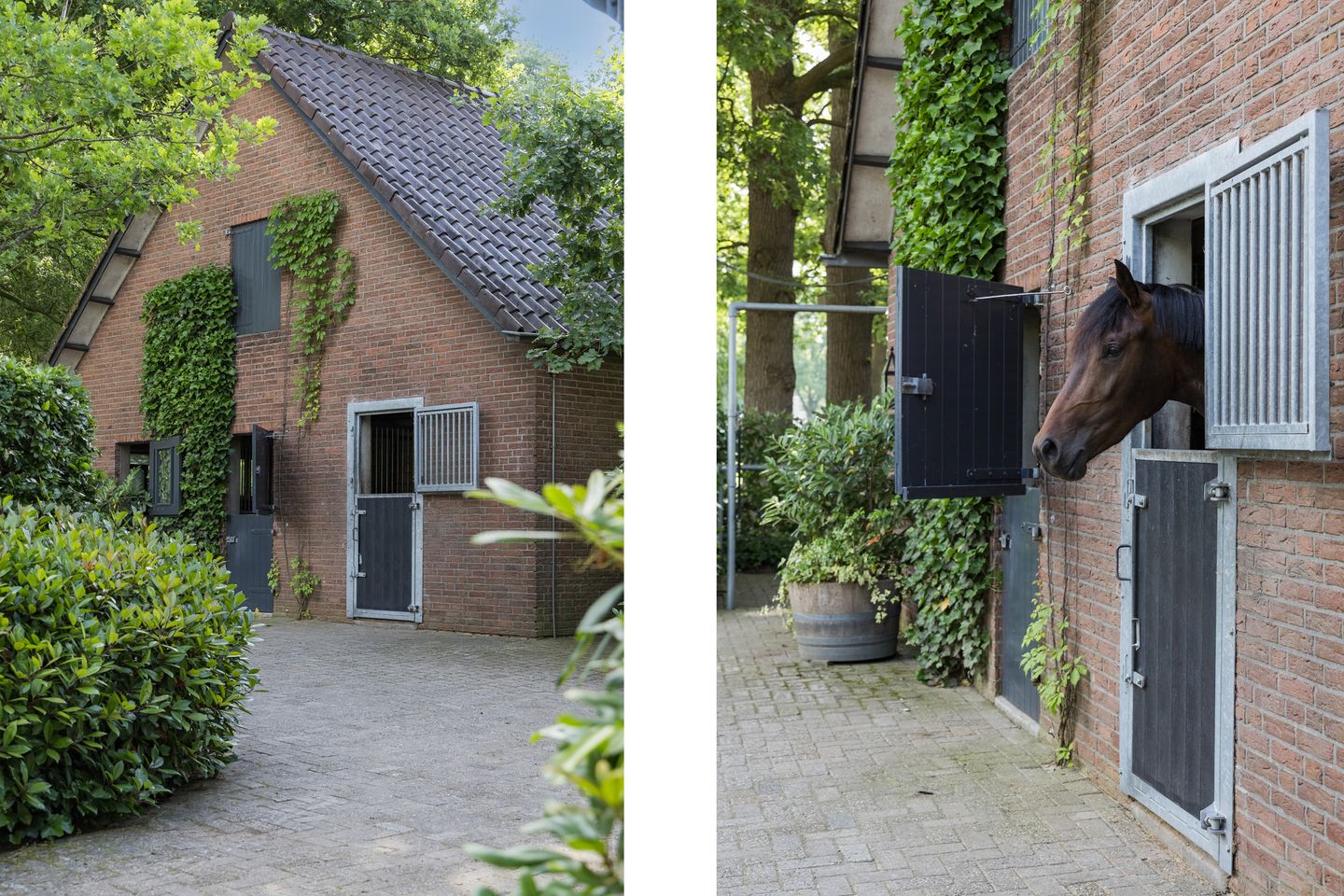 Foto 40 van Steenmatenweg 2