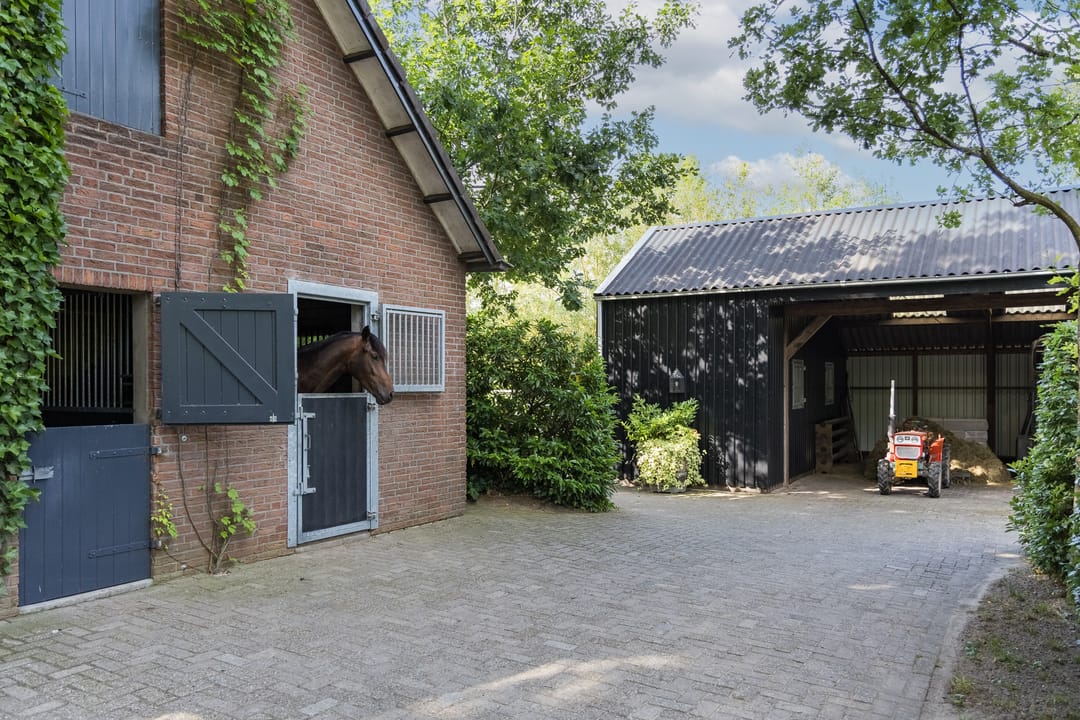 Foto 38 van Steenmatenweg 2