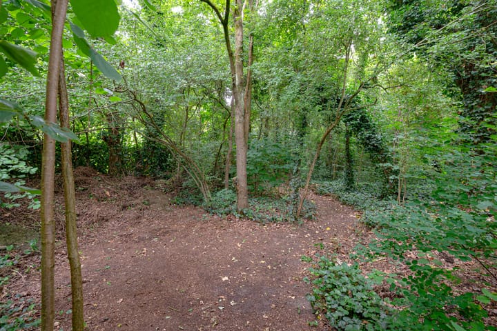 Foto 60 van Buinerweg 11