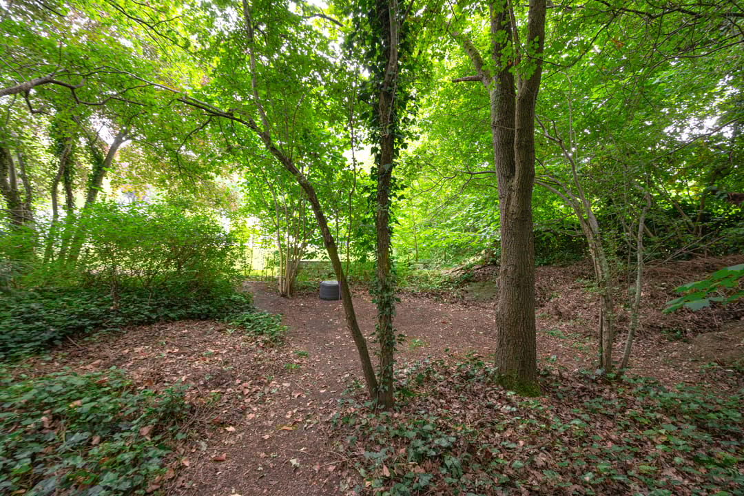 Foto 61 van Buinerweg 11