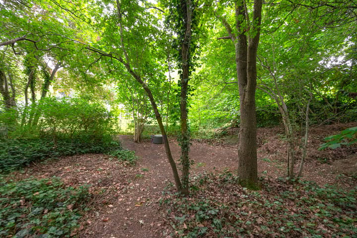 Foto 61 van Buinerweg 11