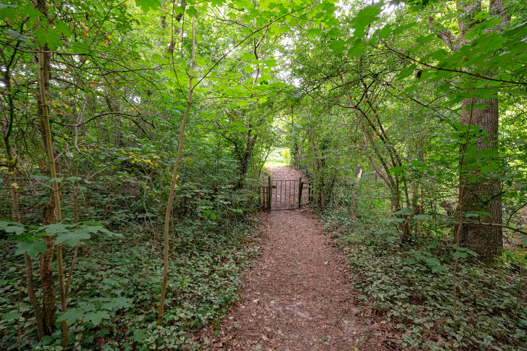 Foto 62 van Buinerweg 11