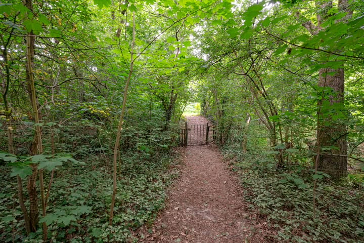 Foto 62 van Buinerweg 11