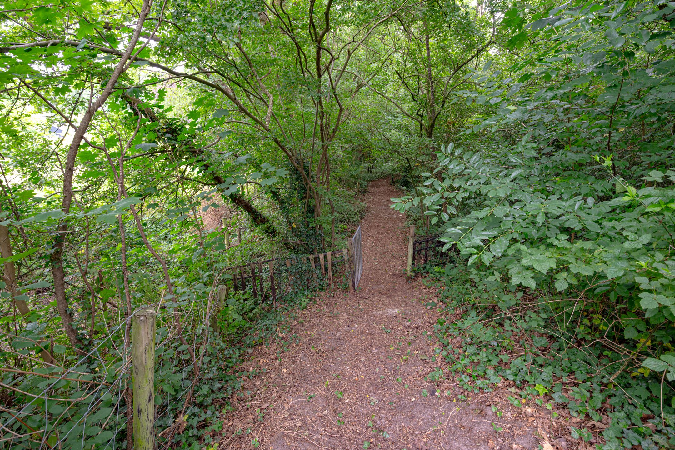 Foto 63 van Buinerweg 11