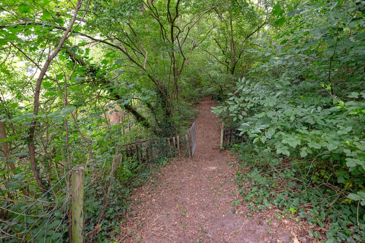 Foto 63 van Buinerweg 11