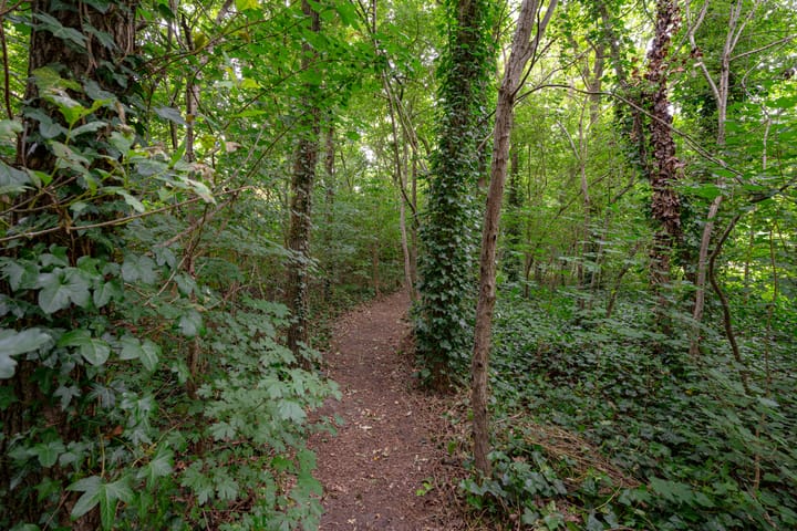 Foto 64 van Buinerweg 11