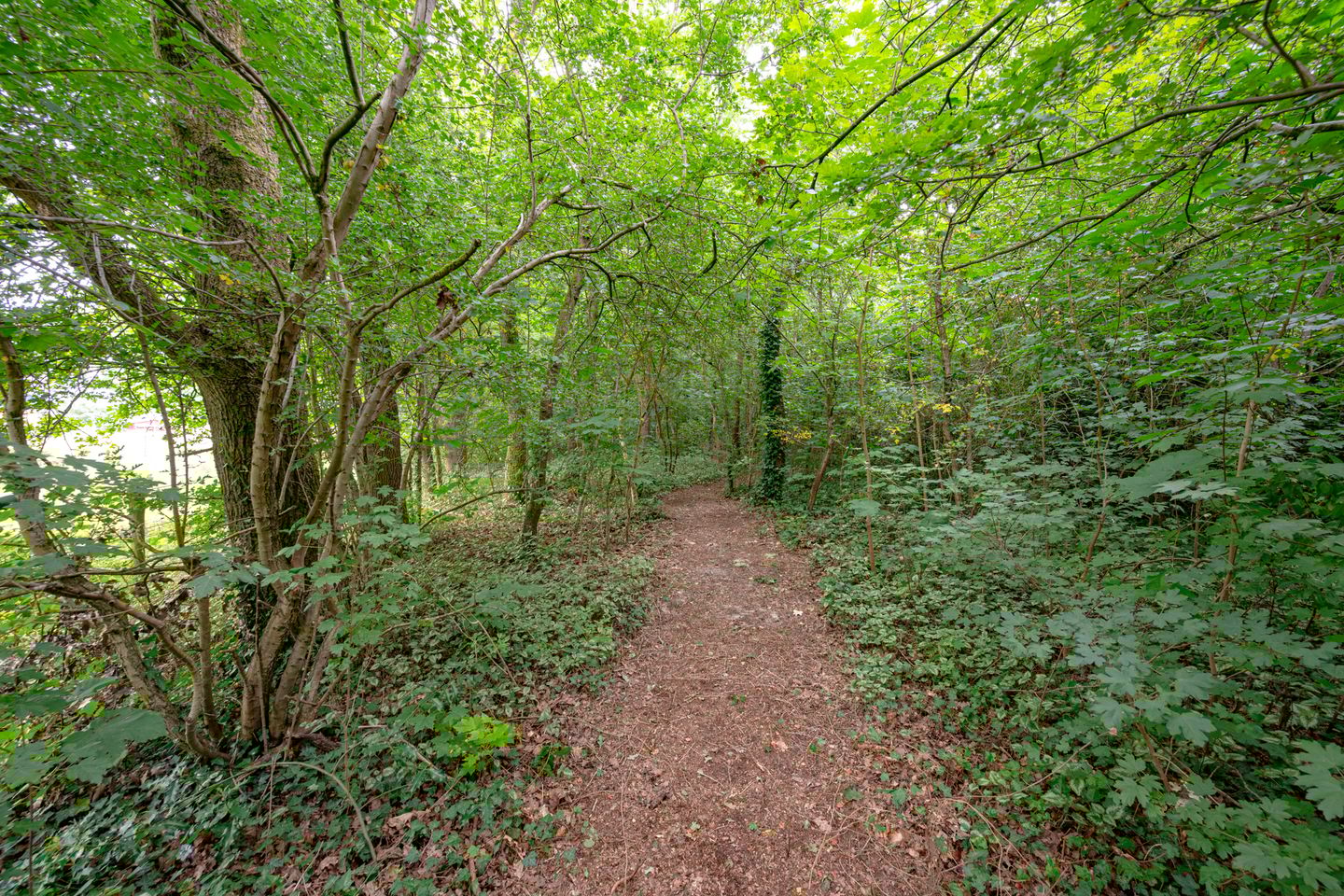 Foto 65 van Buinerweg 11