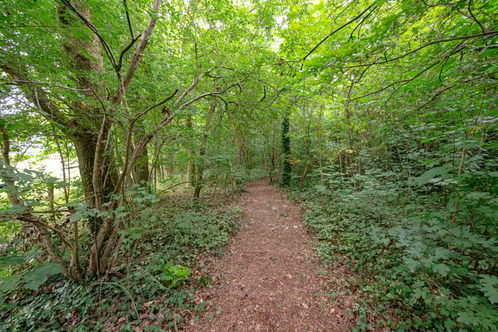 Foto 65 van Buinerweg 11