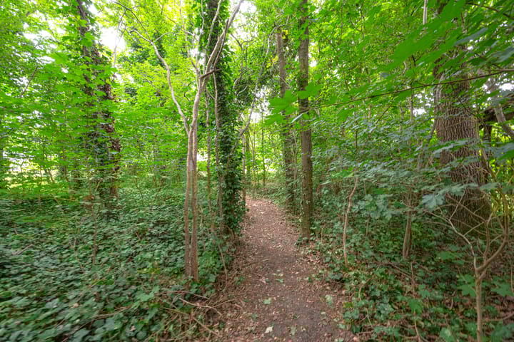 Foto 66 van Buinerweg 11