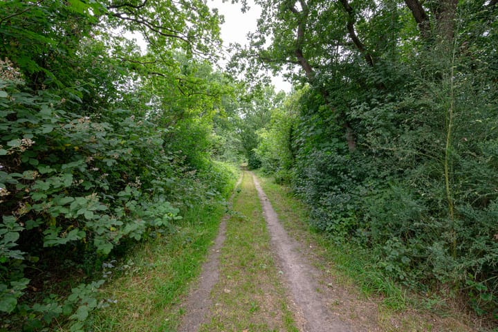 Foto 67 van Buinerweg 11