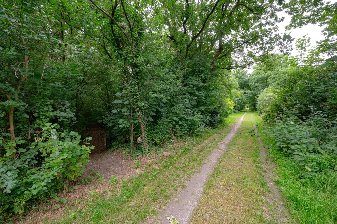 Foto 68 van Buinerweg 11