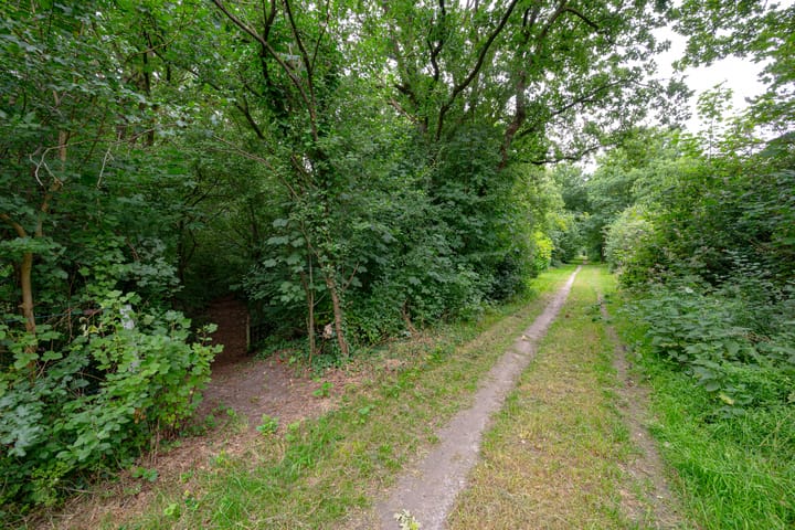 Foto 68 van Buinerweg 11