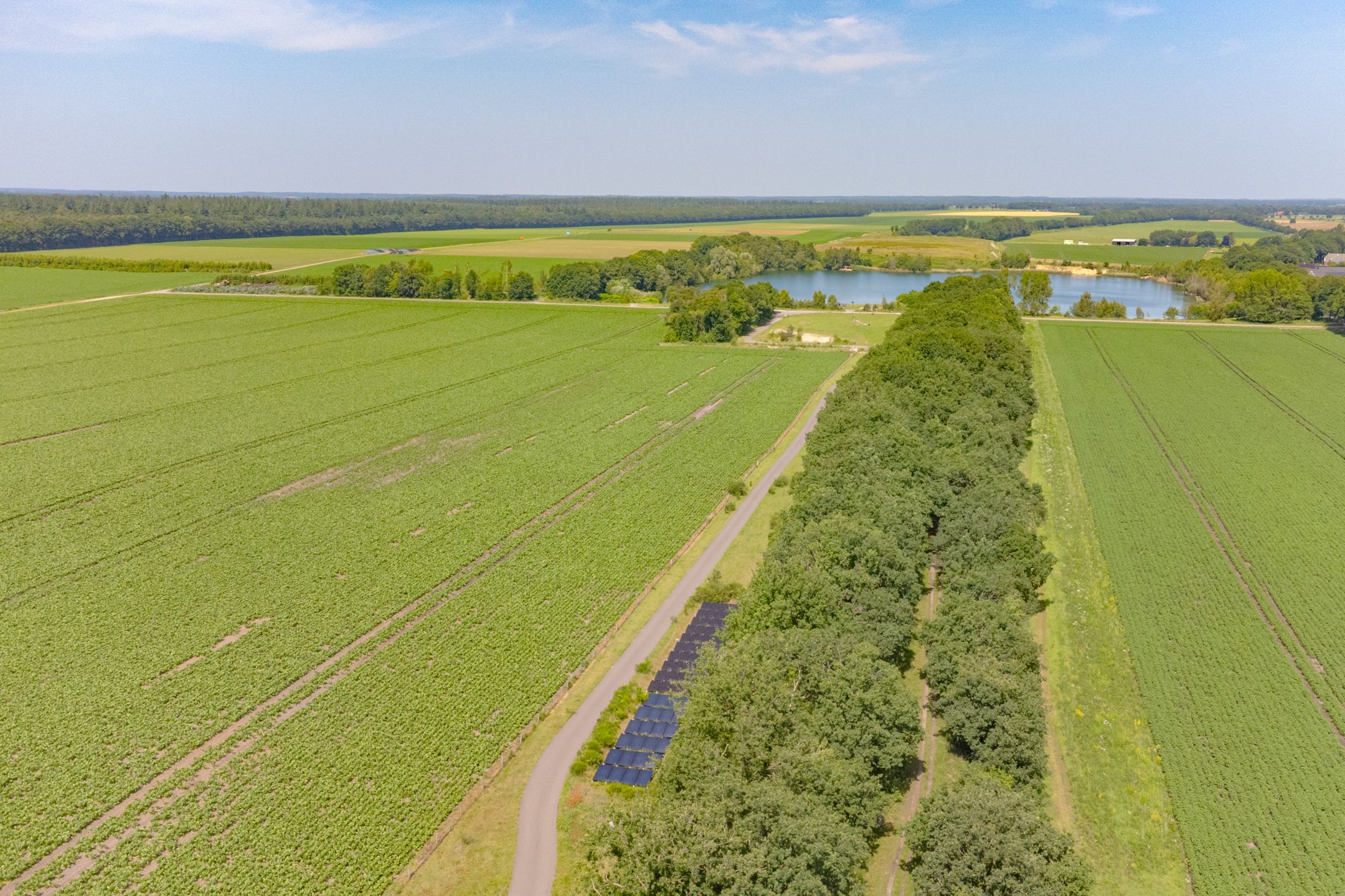 Foto 69 van Buinerweg 11