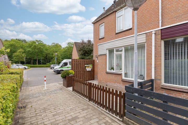 Foto 6 van Paardebloem 73