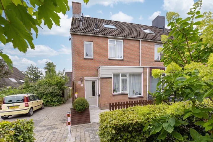 Foto 1 van Paardebloem 73