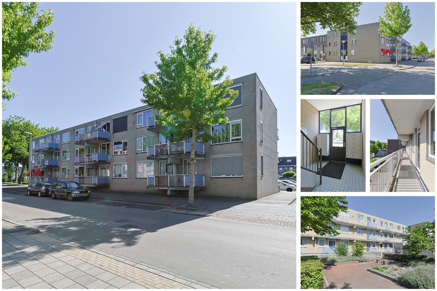 Foto 4 van Tsarenhof 127