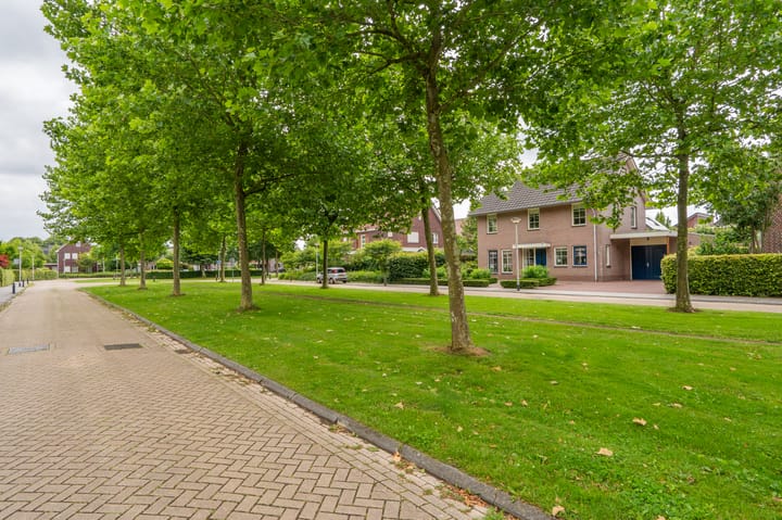 Foto 7 van Sandelhout 10