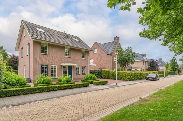 Foto 9 van Sandelhout 10