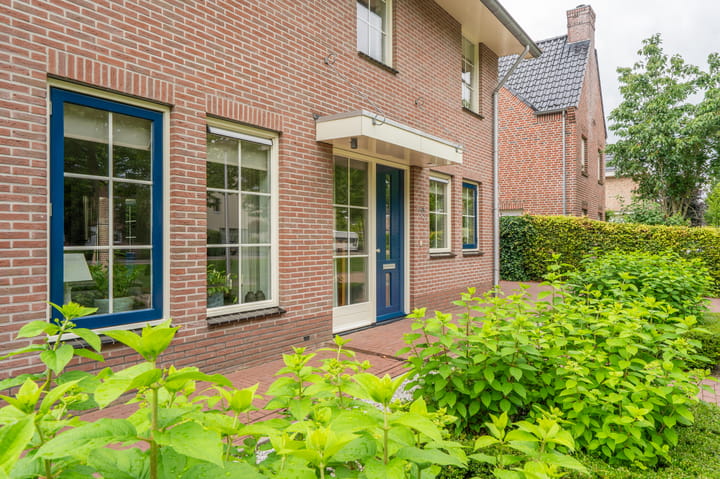 Foto 14 van Sandelhout 10