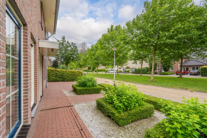 Foto 15 van Sandelhout 10