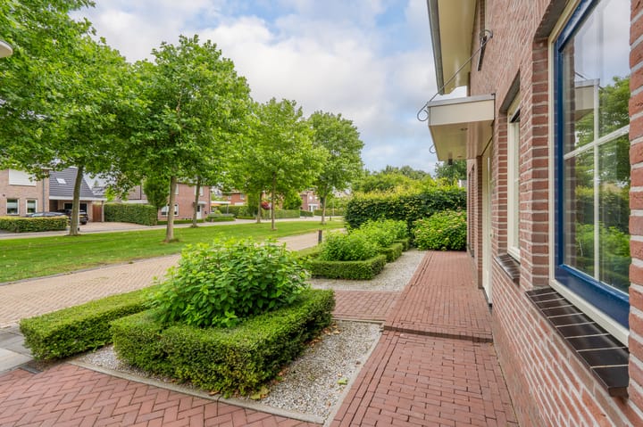 Foto 16 van Sandelhout 10