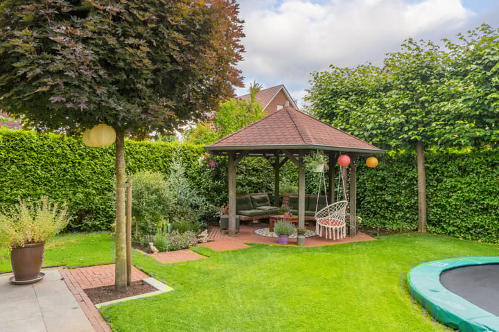 Foto 52 van Sandelhout 10