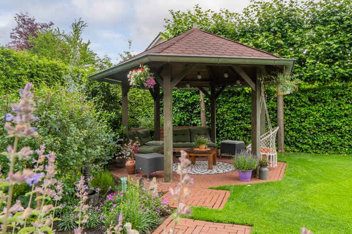 Foto 53 van Sandelhout 10