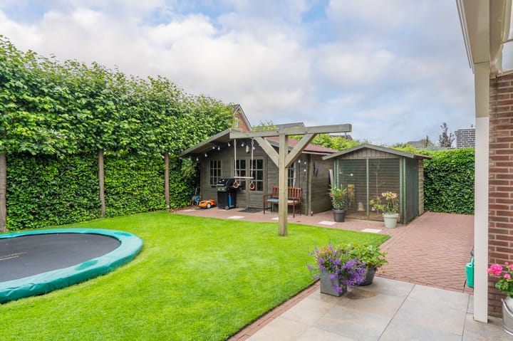 Foto 57 van Sandelhout 10