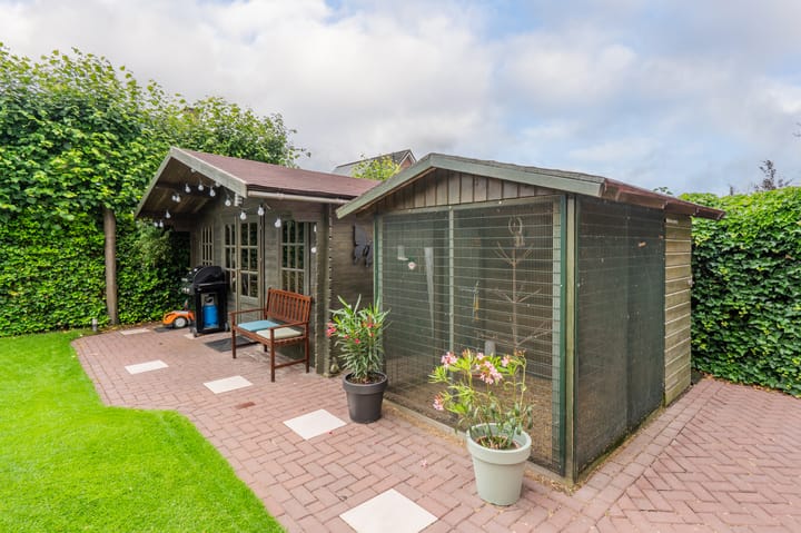 Foto 61 van Sandelhout 10