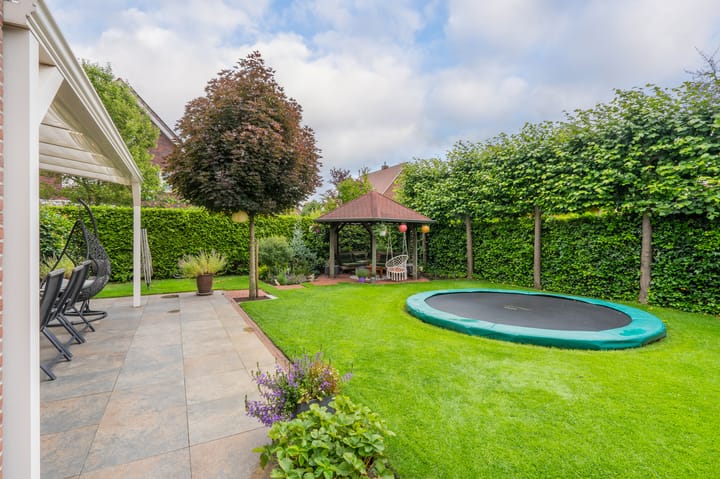 Foto 63 van Sandelhout 10