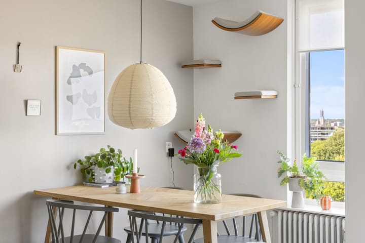 Foto 14 van Trekvogelweg 70-D