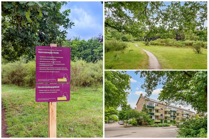 Foto 34 van Kolhornseweg 186