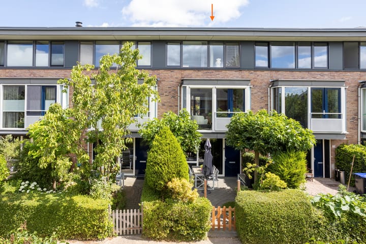 Foto 5 van Hoornplantsoen 30