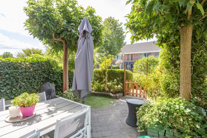 Foto 8 van Hoornplantsoen 30